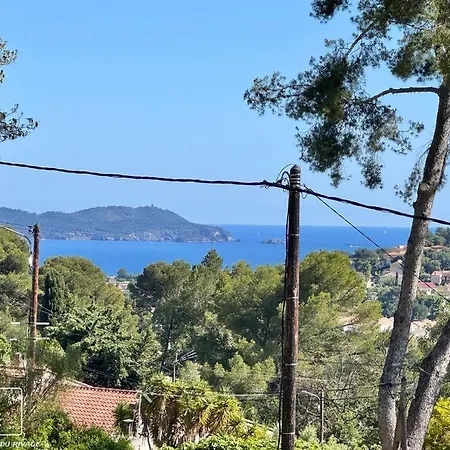 La Gacelyte Piscine Privee Joli Bas De * Carqueiranne